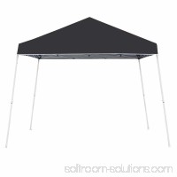 Z-Shade 10' x 10' Angled Leg Instant Shade Canopy Tent Portable Shelter, White   